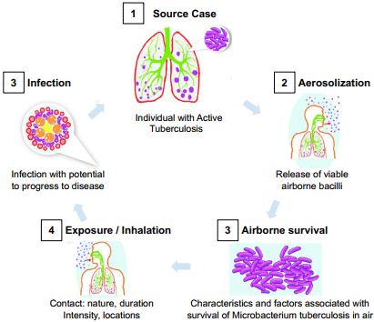 Tuberculosis Program Services